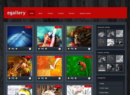 eGallery Wordpress Theme