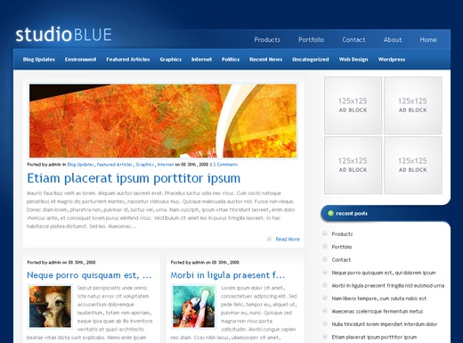 Studio Blue Wordpress Theme