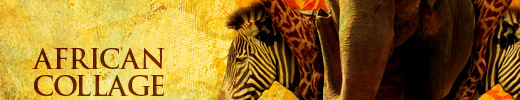 Great looking, Easy Collage Effect