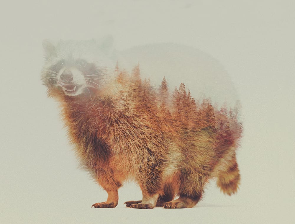 Stunning Double Exposure of Animals by Andreas Lie