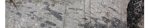 Free Texture Tuesday: Concrete