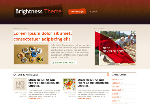 Brightness Free WordPress Theme