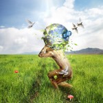 Wallpaper Designs 20 - 2