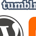 wordpress and tumblr