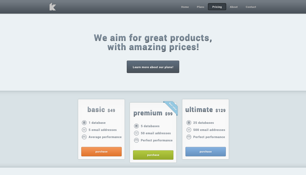 Pricing in Portfolio Website Design