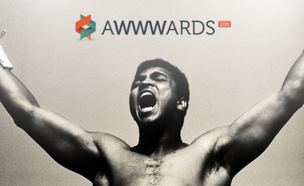 Show Off as a Web Designer in Portfolio Website