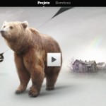 brown bear in snow