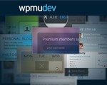 wpmu wordpress themes