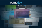 wpmu wordpress themes
