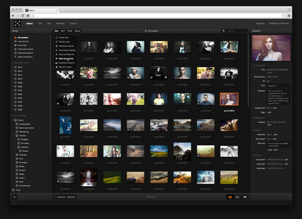 Koken Media Library