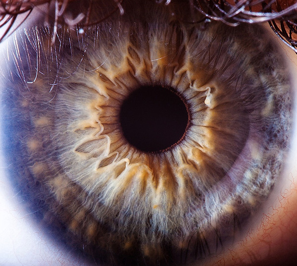 Human eye photo