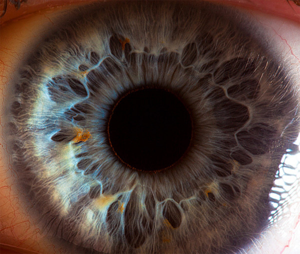 Human eye photo