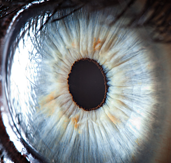 Human eye photo