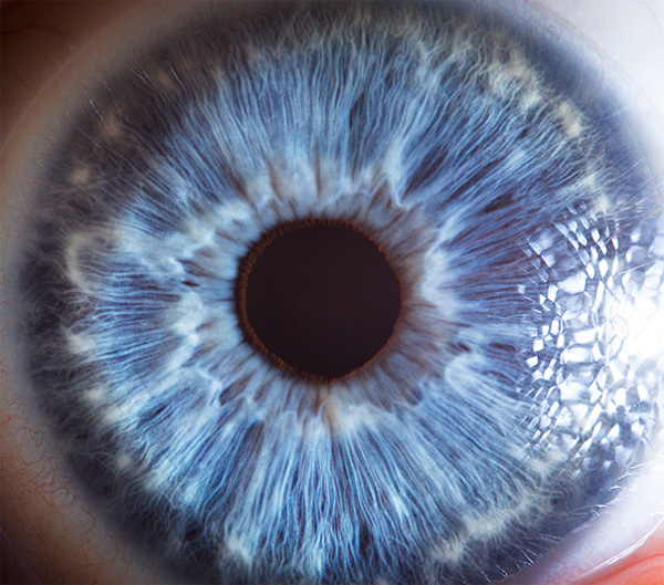 Human eye photo