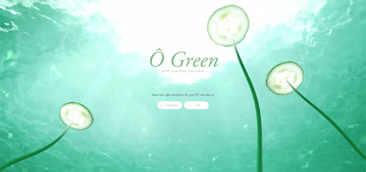 Eco Style Web Design