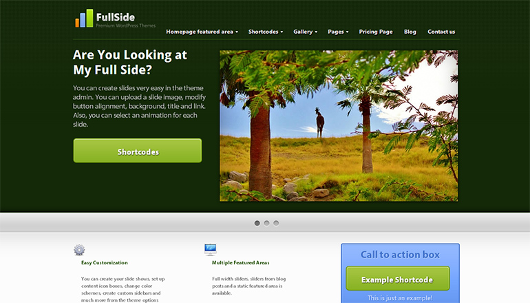 Fullside Wordpress Theme