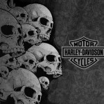 harley wallpaper