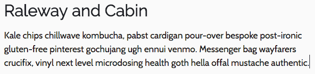 Raleway and Cabin Type Google