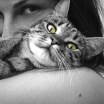 cat lady stock image