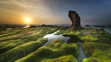 coast landscape