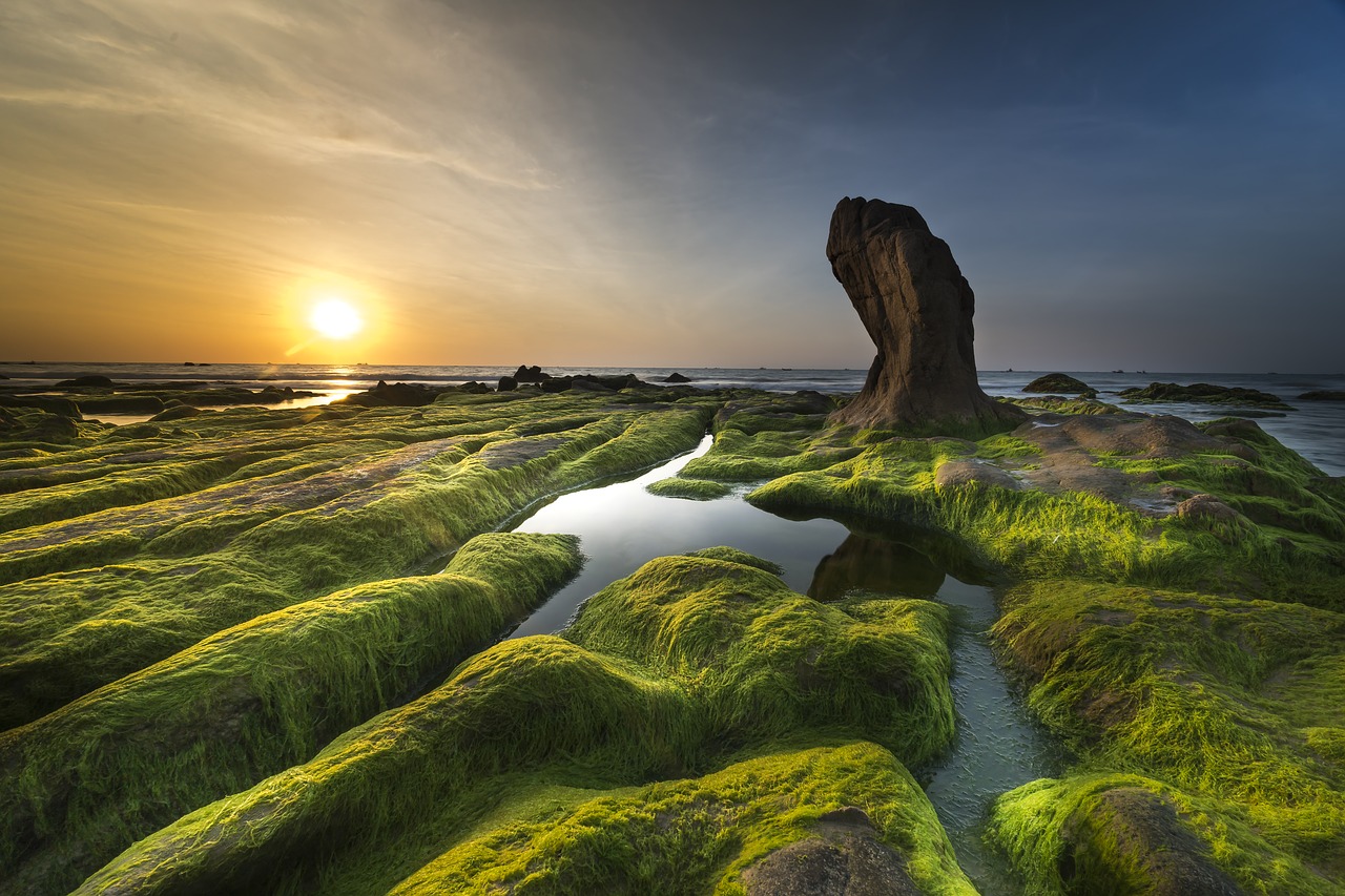 coast landscape