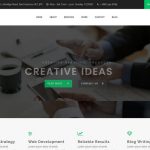 Professional Website Template