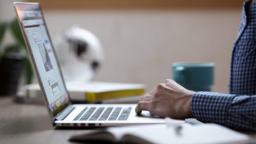 Web developer