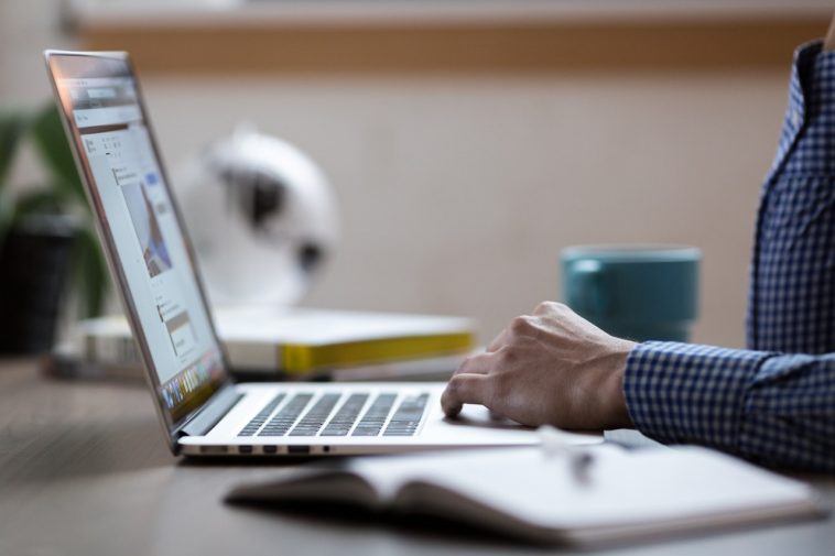 Web developer