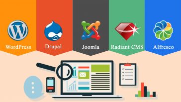 cms which is the best