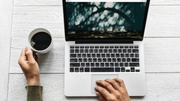 A Guide to Content Optimization