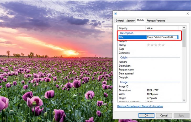3 Easy Ways to Add Captions to Photos